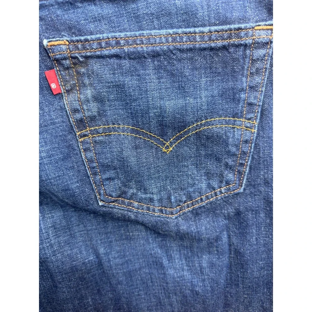 Levis levi 569